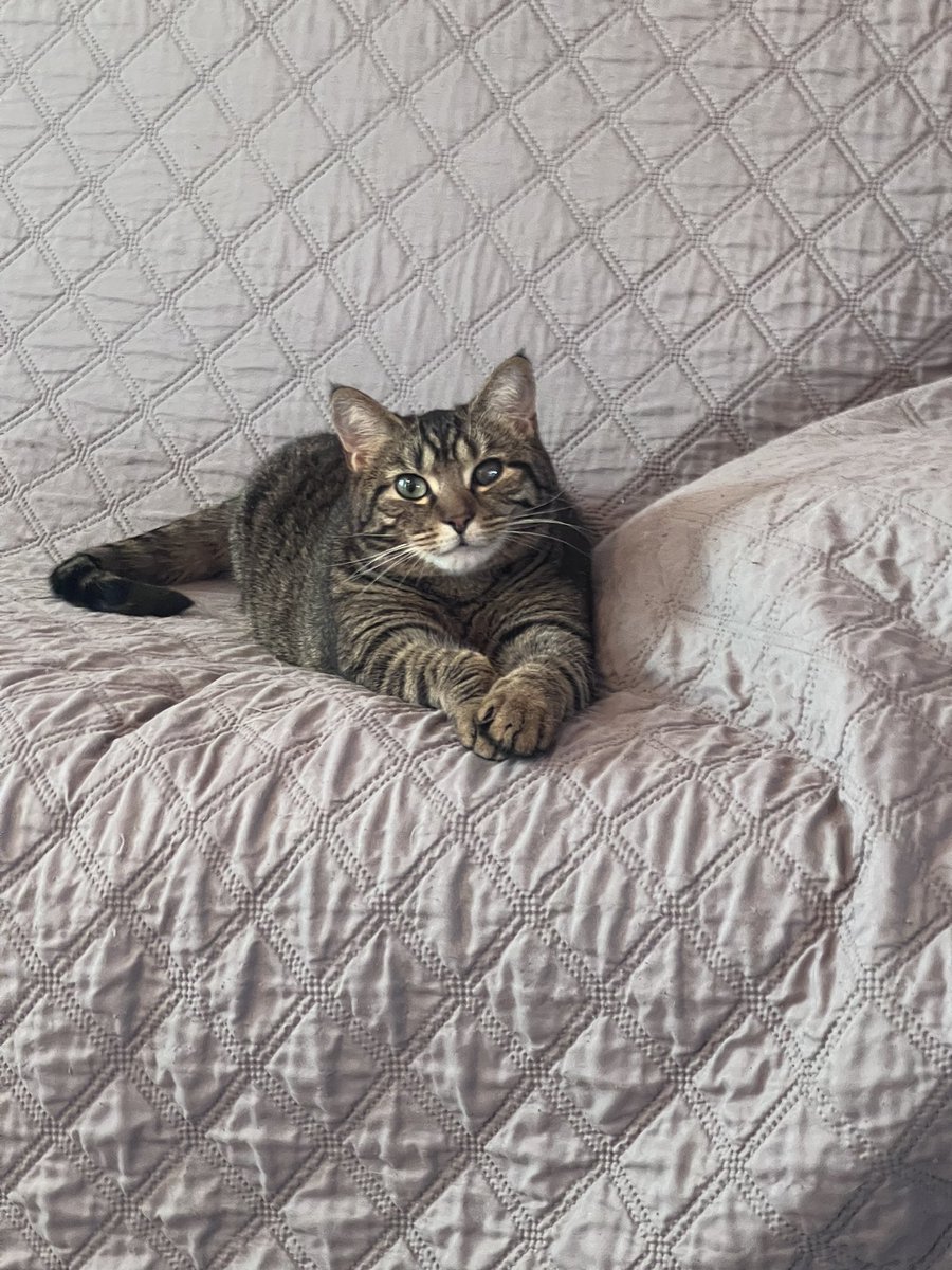 some say i’m stretching, others say i’m posing 📸💃🏼