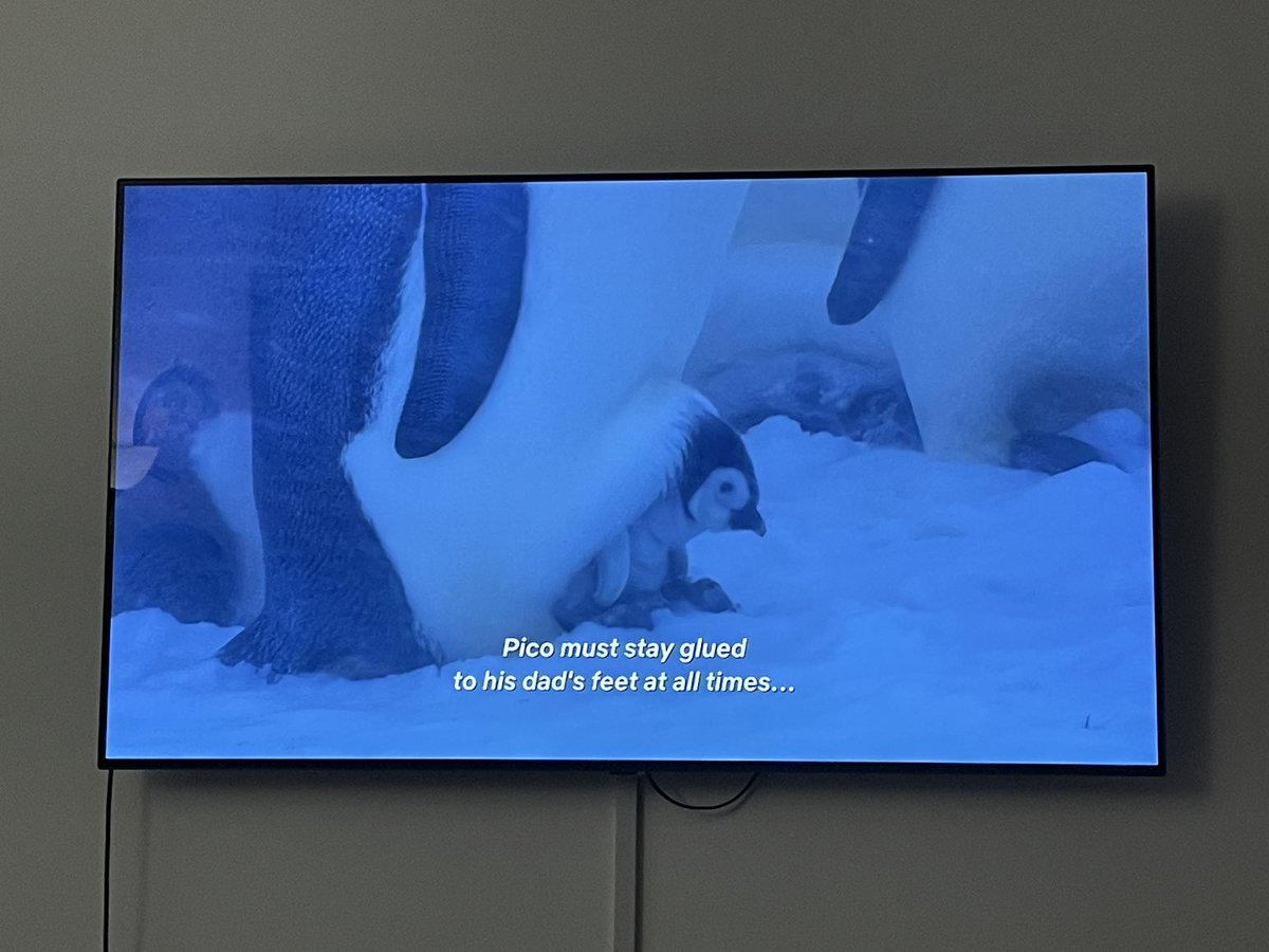 Pico the little man is way cuter in real life than <a href="/DrawfeeShow/">Drawfee Show</a> led me to believe…