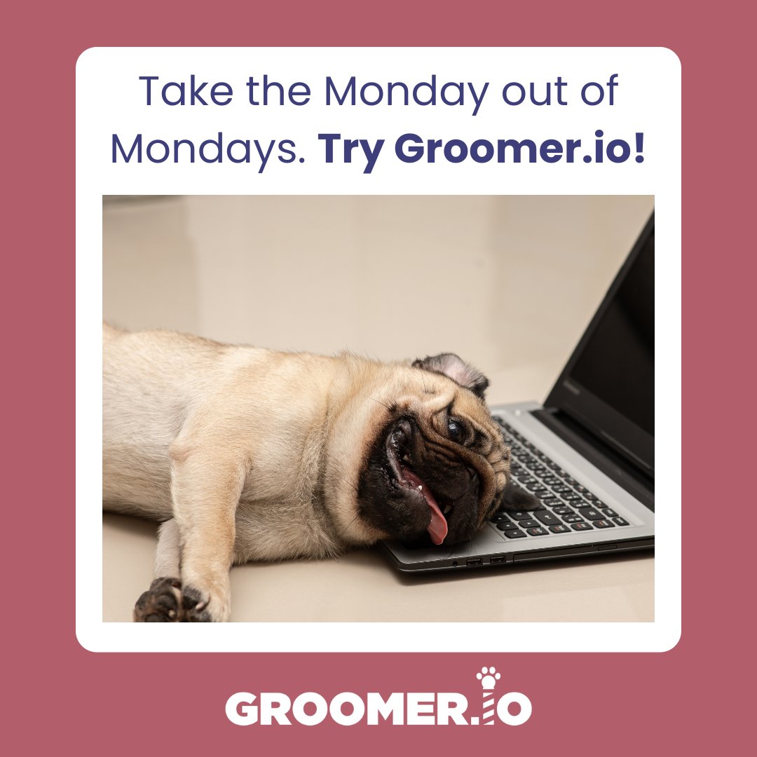 groomerio's tweet photo. We understand the drag of starting off the workweek. Get #groomerio to take the lift off of your #petsalon management! #PetGroomingSoftware https://t.co/H2uhRBAkqb