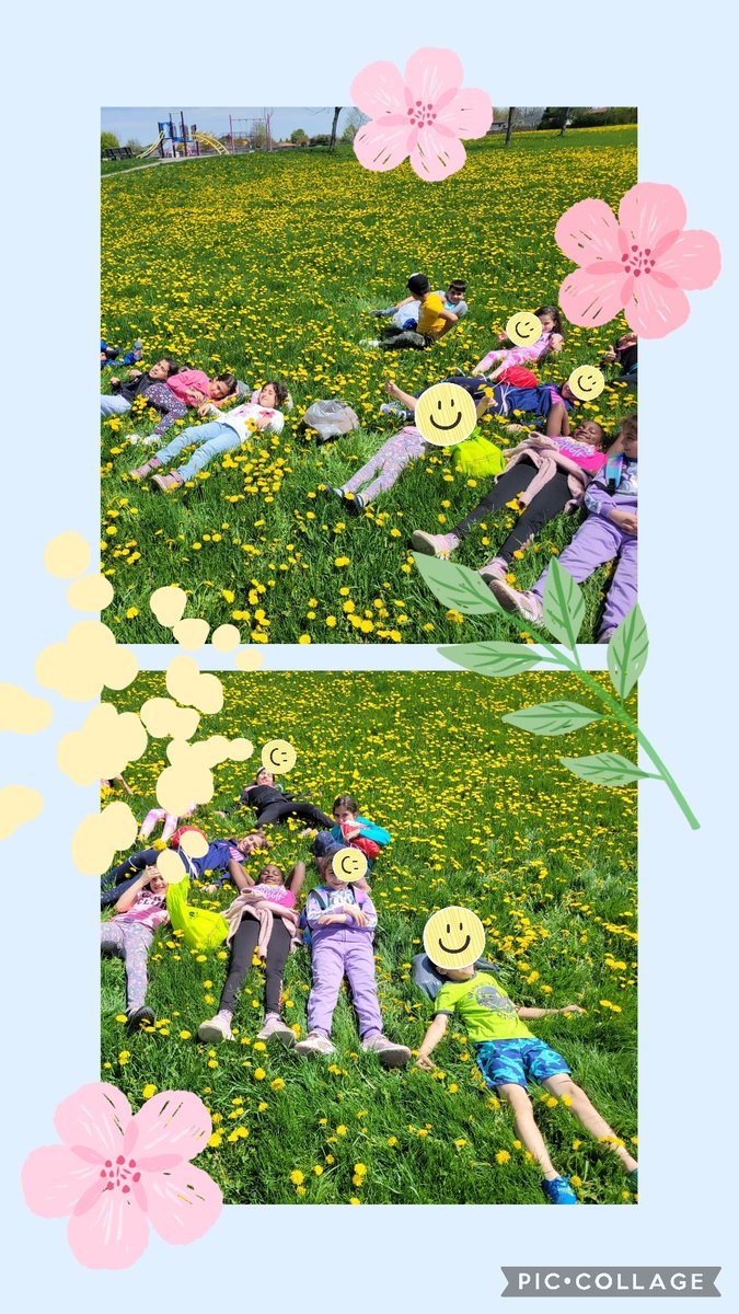 When you're walking in the neighborhood and pass through a perfect bee feeding field, you flop over and take a picture. What a beauty day to walk from <a href="/AshleyOaksPS/">Ashley Oaks PS</a> to swim to survive lessons.