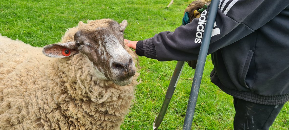 HullWildLifeProtectors tweet media