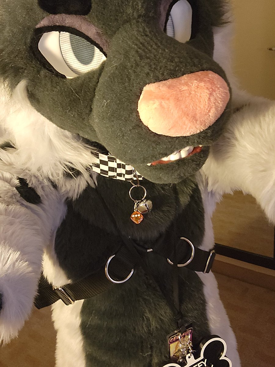 ServiceDoggoUwU's tweet photo. @AllHailMyAss1 Go ahead~ https://t.co/kO58NsldtY