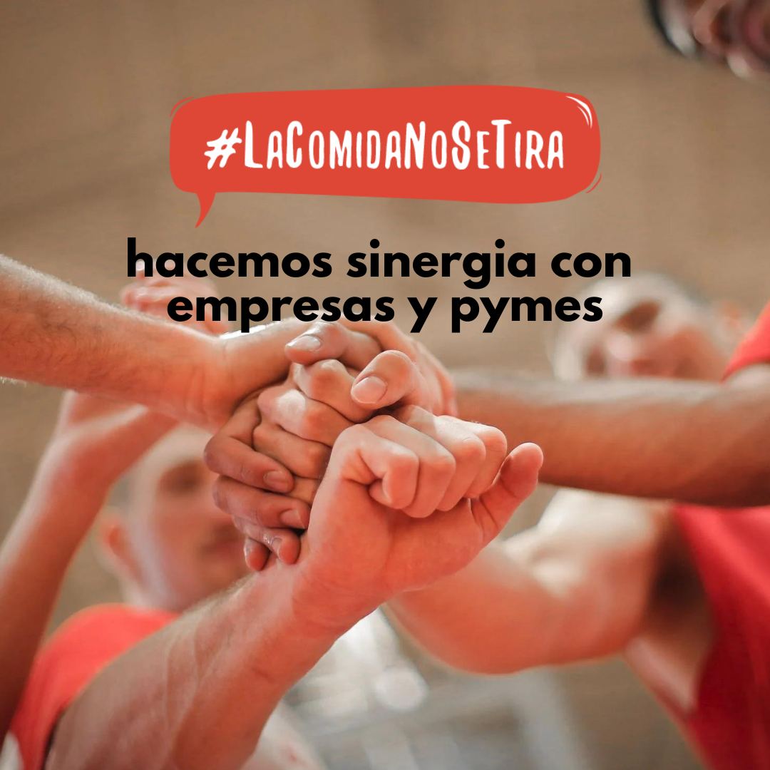 ProyectoPlatoLleno tweet media