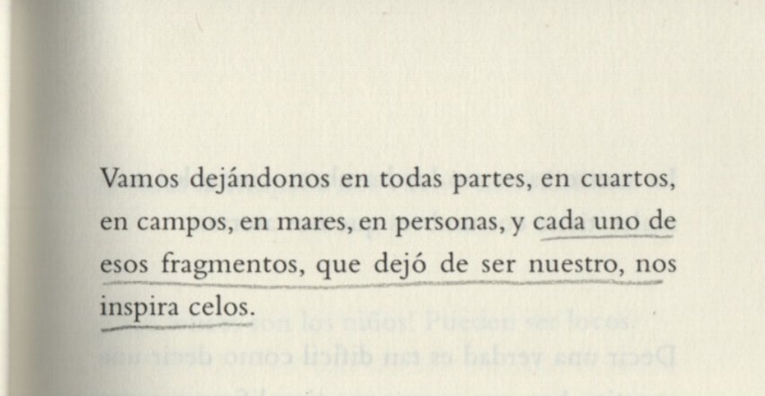 algo que anotó Silvina Ocampo en un cuaderno
