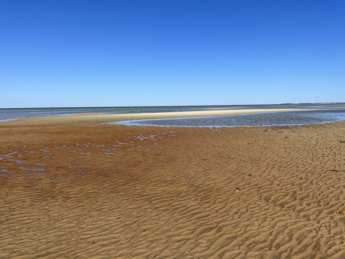 Low tide at #FirstEncounterBeach #Eastham Anyone know why there’s so much red? It’s not red tide.