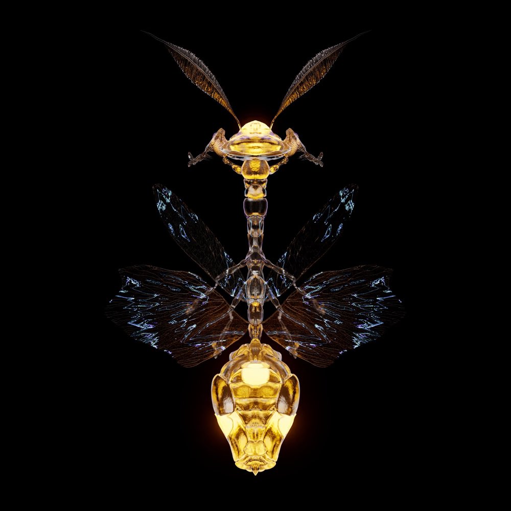 This is a reminder from the LAB: You are not late to join the CHRYSALISM revolution and be part of a new microcosm with CHRY:WORLD! 

Discover exciting new 100% generative NFTs and explore the intersection of art, nature, and code 🧬 🐞