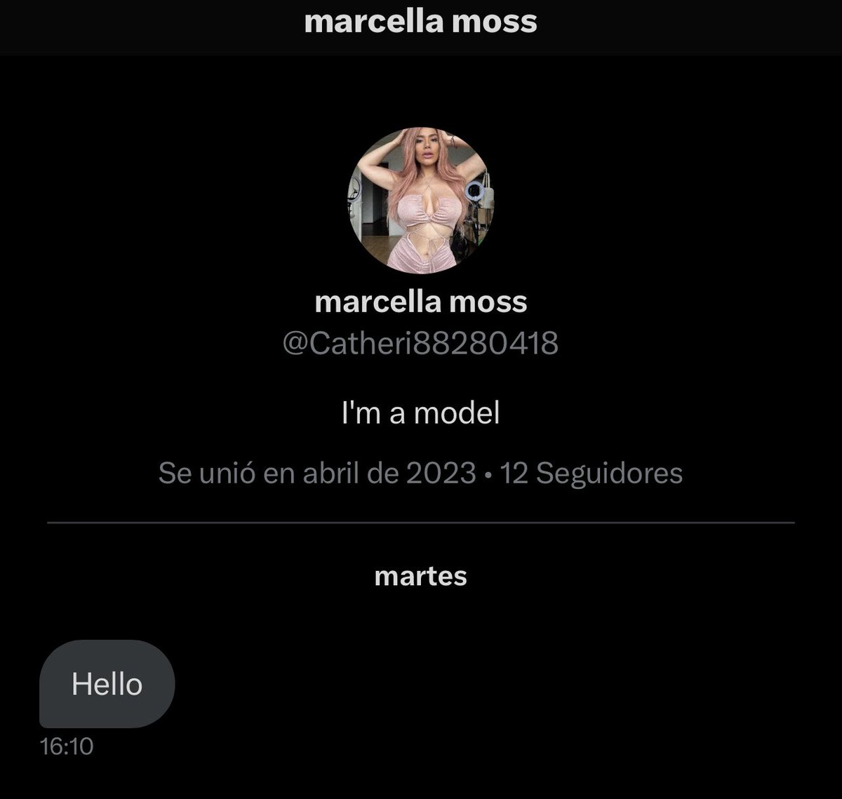 Ya-Joob Joob 👾 on Twitter: ¡Hola, @marcelaamq!