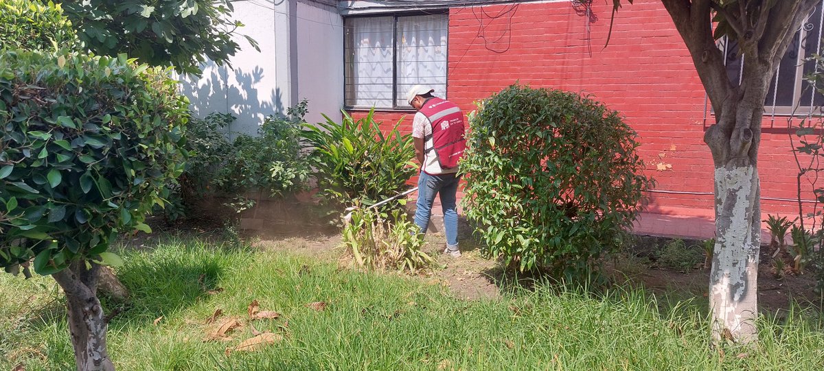 PROSOCVC's tweet photo. El día de hoy nuestros compañeros de trabajo en tu unidad ingresaron a la U.H pinos en la Jardín Balbuena con  mantenimiento menor en las áreas comunes y corte de cabello gratuito

@GobCDMX @Claudiashein
@ProsocCDMX @ClaudiaGalavizS @Victorcalvosa https://t.co/wx2989FckK
