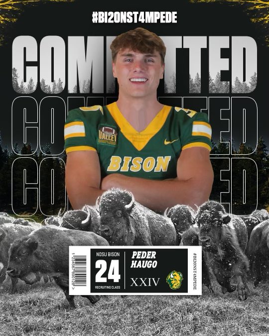 Peder Haugo tweet media