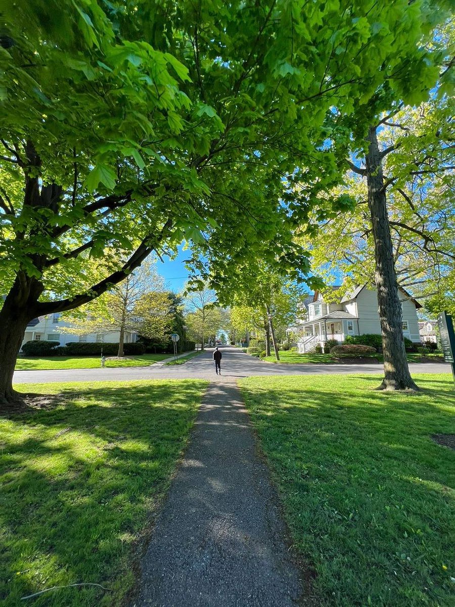 rebwarharde's tweet image. #New York #Landscape