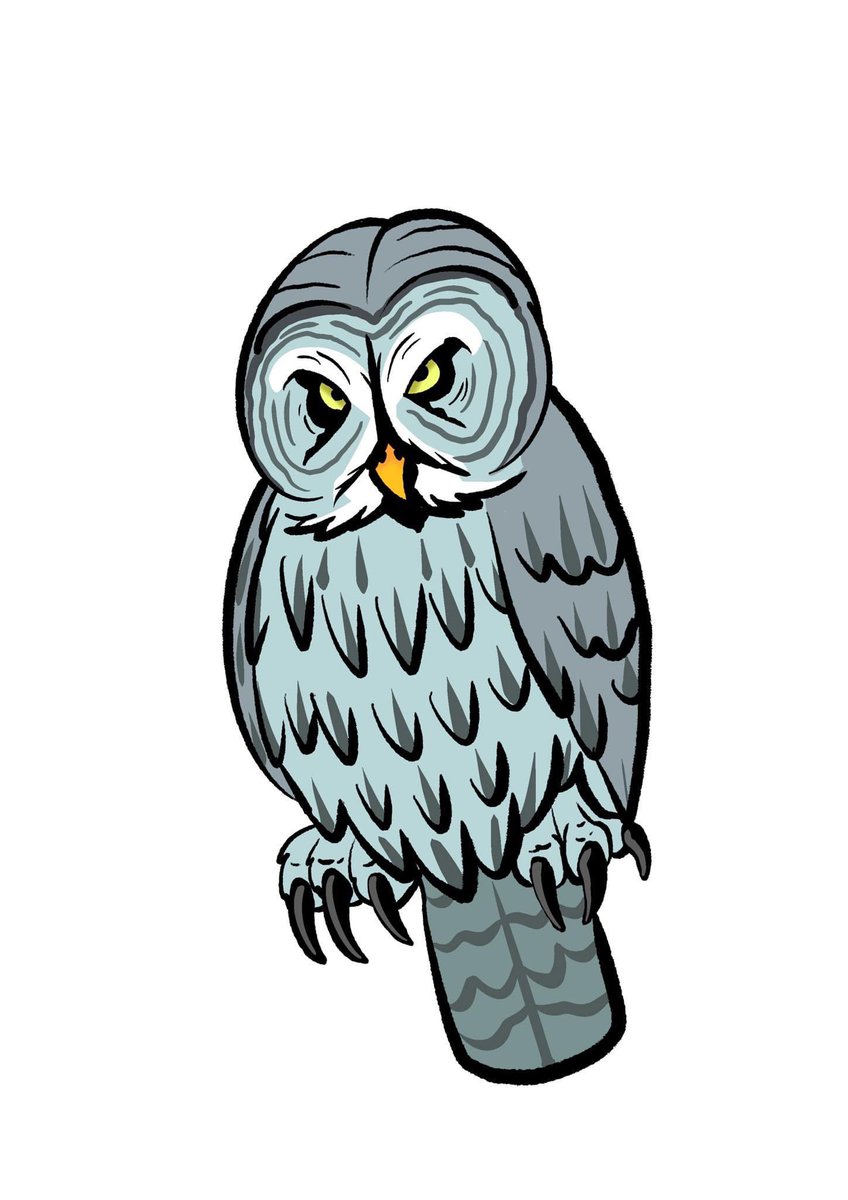 Tomjarobz93's tweet photo. Some owl designs I did for @thevalecartoon . 2 of 3
#thevale #animation #animationassets #procreate #characterdesign #owl #birdsofprey #2danimation #shortearedowl #europeangreyowl #eurasianeagleowl #littleowl #birdsofprey #ebbwvaleowlsanctuary #welshanimation #wales #ebbwvale https://t.co/2Bd7waAntV