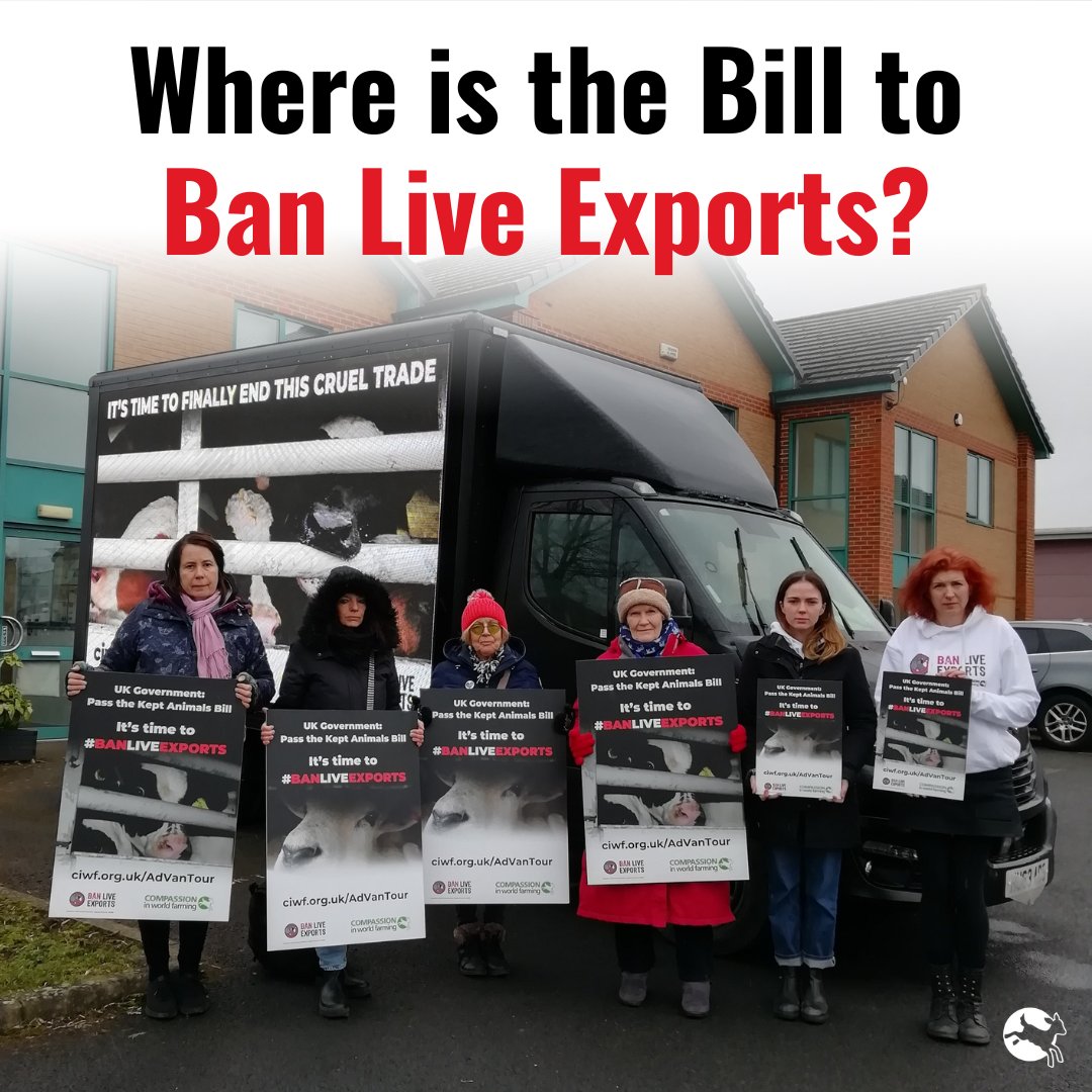 UPDATE: UK Government respond to our #BanLiveExport Ad Van Tour In a letter, they've stated they 'intend to deliver on our manifesto commitment' by banning live exports. We welcome this BUT the Bill to #BanLiveExports is nowhere to be seen. TAKE ACTION: bit.ly/3ZrdLKF