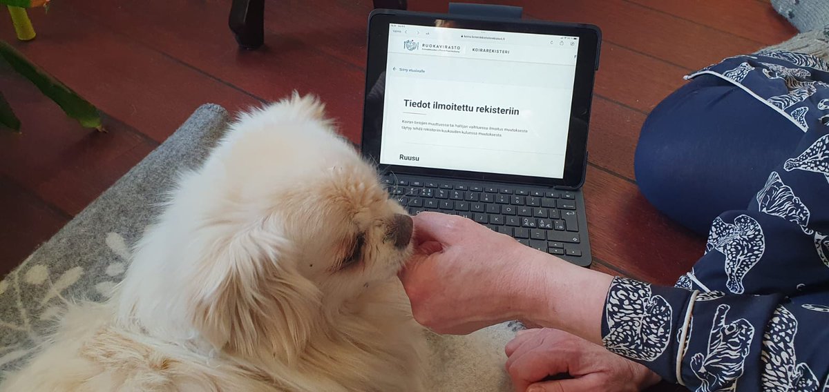 Ruusu-koira on rekisterissä. Helposti sujui. Valtaosassa EU-jäsenmaita tunnistusmerkintä ja rekisteröinti on pakollista. Mm  karkulaiset löytyvät helpommin. #koirarekisteri