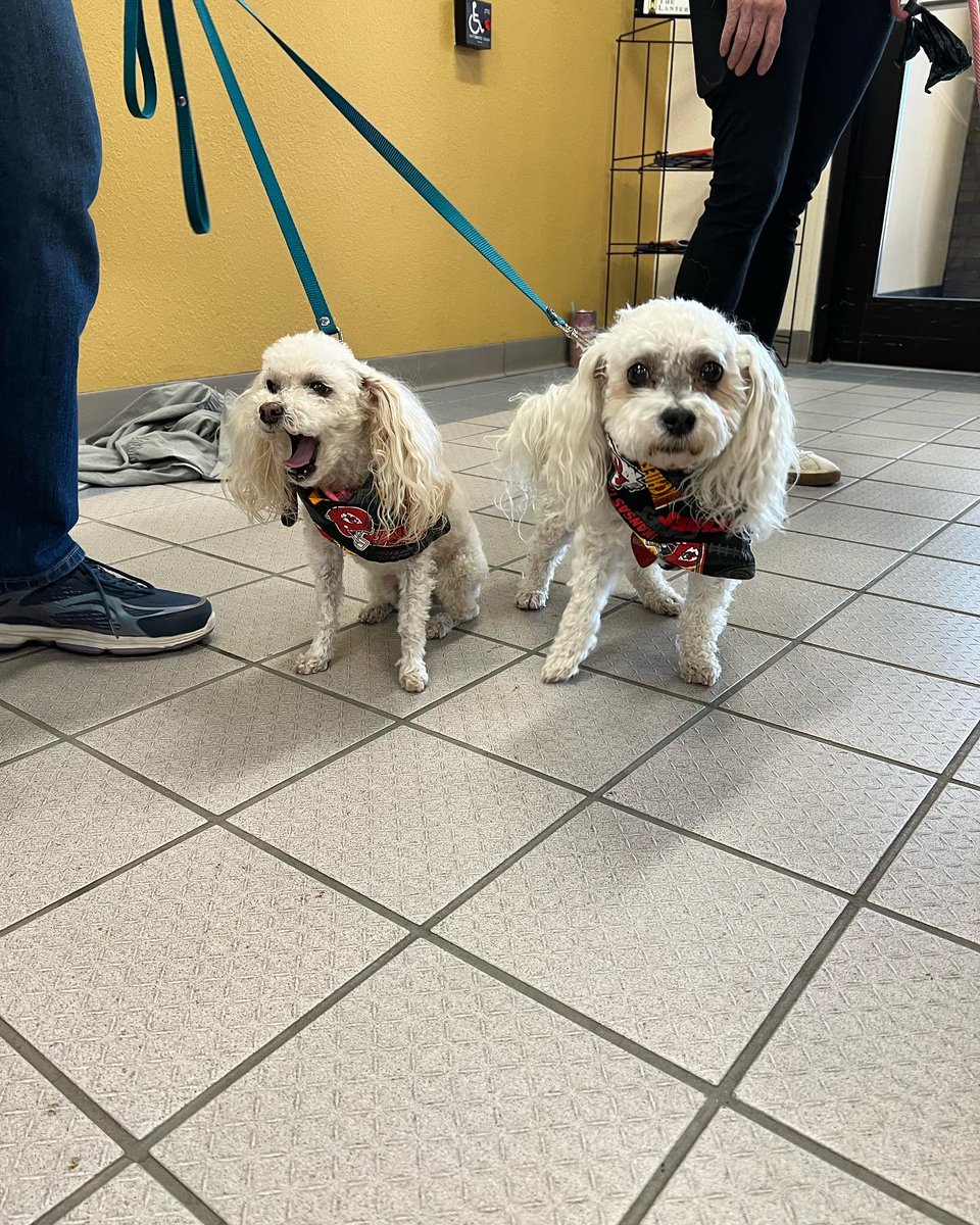 On Wednesday, May 3, Hapi Hands &amp; Paws Inc. visited the El Dorado campus, bringing with them a number of furry friends to console students and staff amidst the stress of finals.'
Photos by Jen Anima-Valdez and Lantern Staff