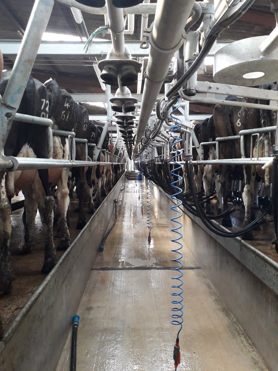 We are losing our valued calf rearer to NZ this summer and want to create a new assistant Herdsperson role so we have 2 vacancies becoming available. Details in the job advert attached, email office@pilkingtonfarmsltd.com For those just browsing I would appreciate a share! 🐄😀