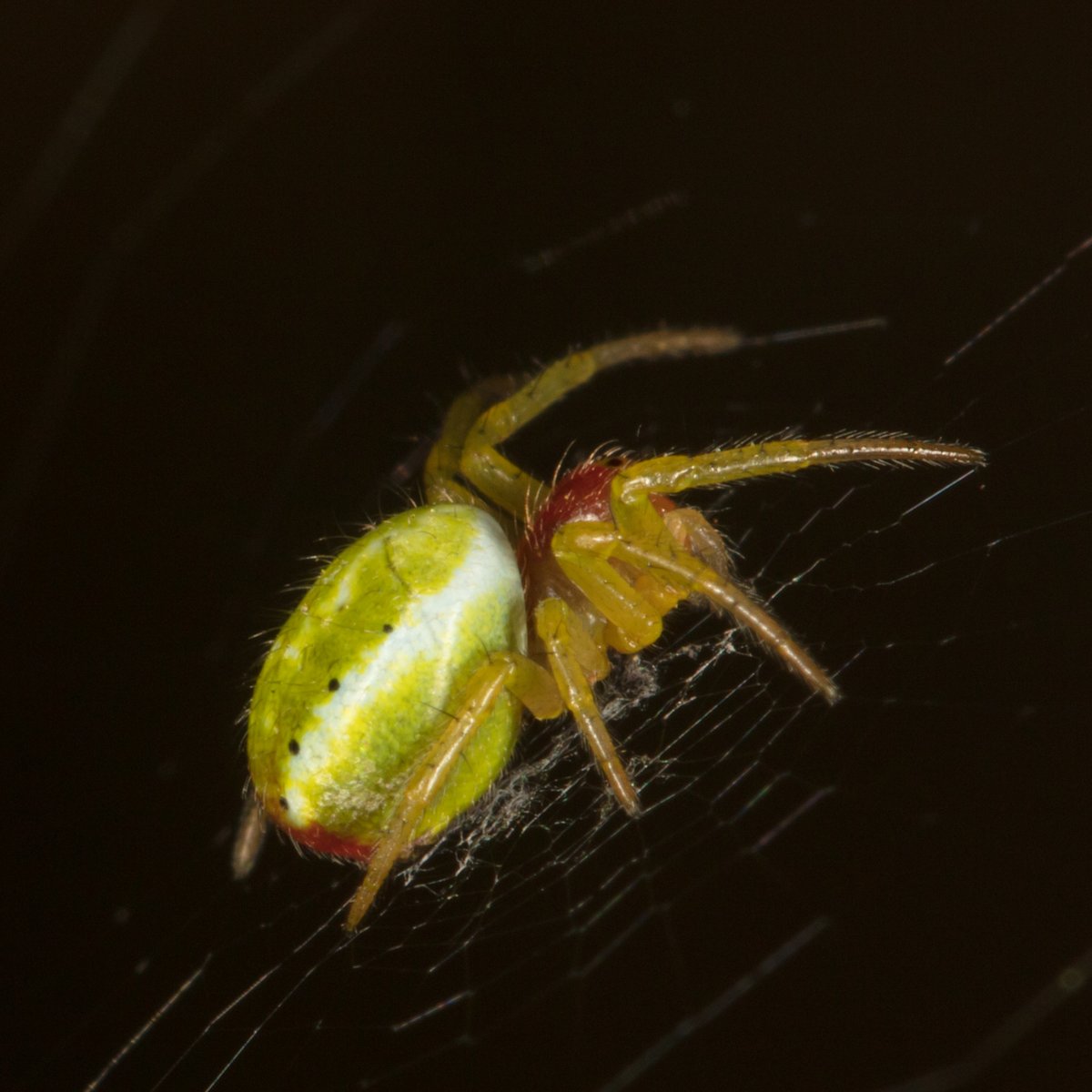 Martin Taylor tweet media