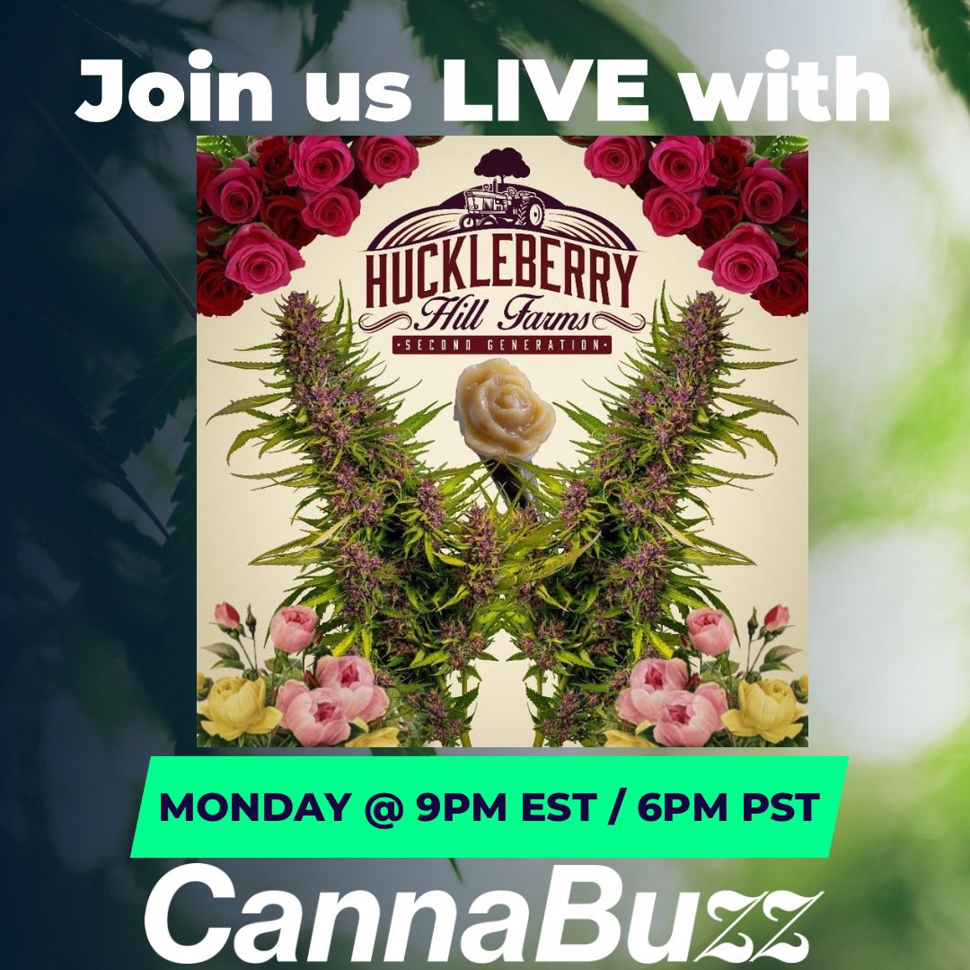 CannaBuzz tweet media