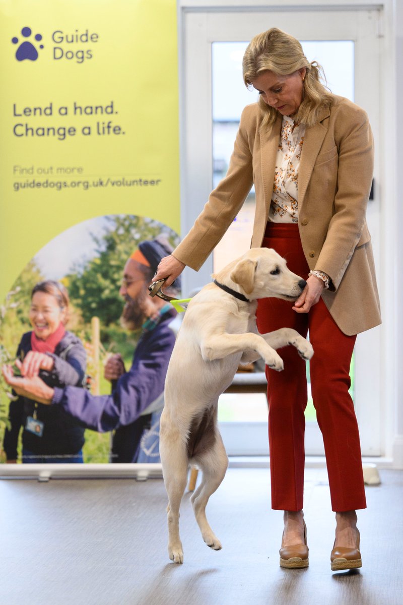 Rookie on Twitter "The Duke and Duchess of Edinburgh take part in a