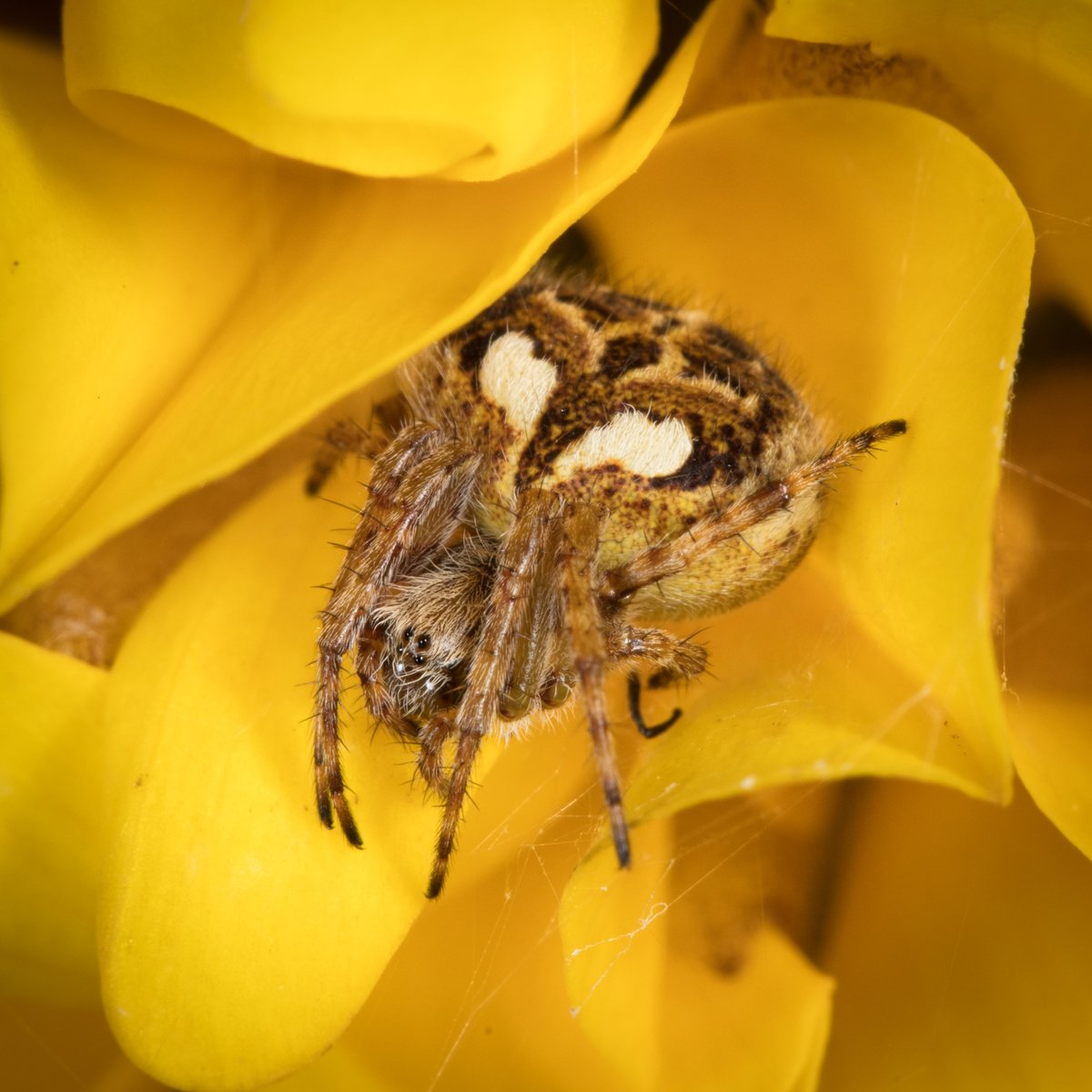 Martin Taylor tweet media