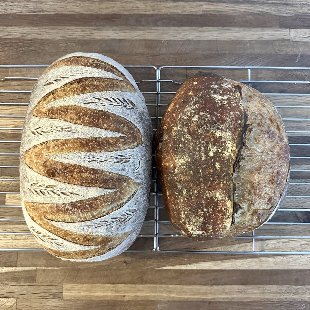 James Zimmermann (slimzim) on Twitter "Tard wife “Your bread