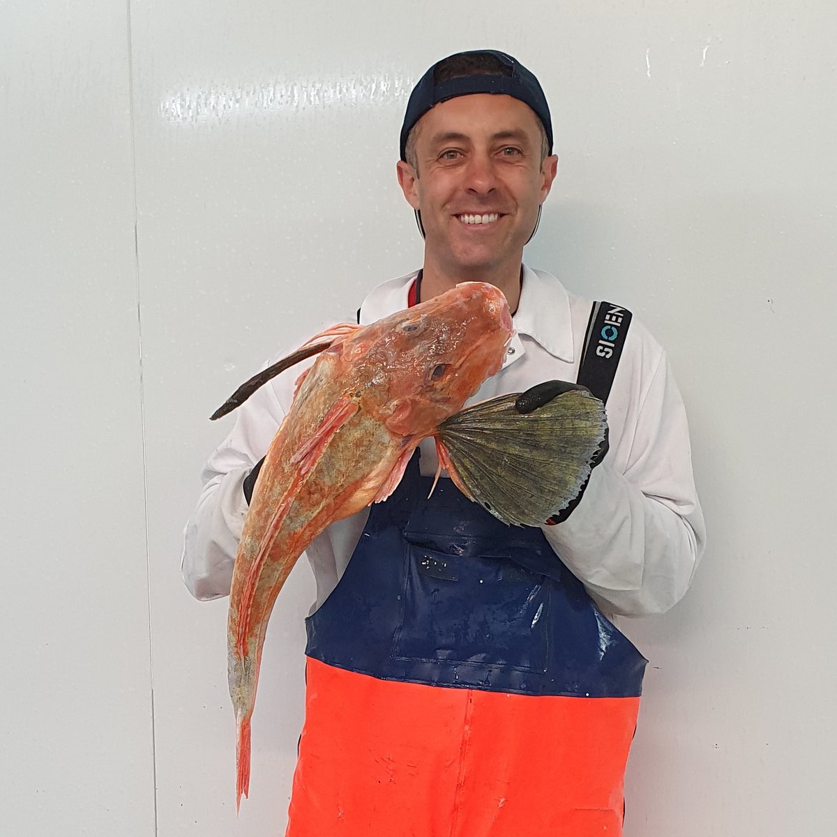 Marrfish Wholesale - Fish & Seafood Delivery tweet media