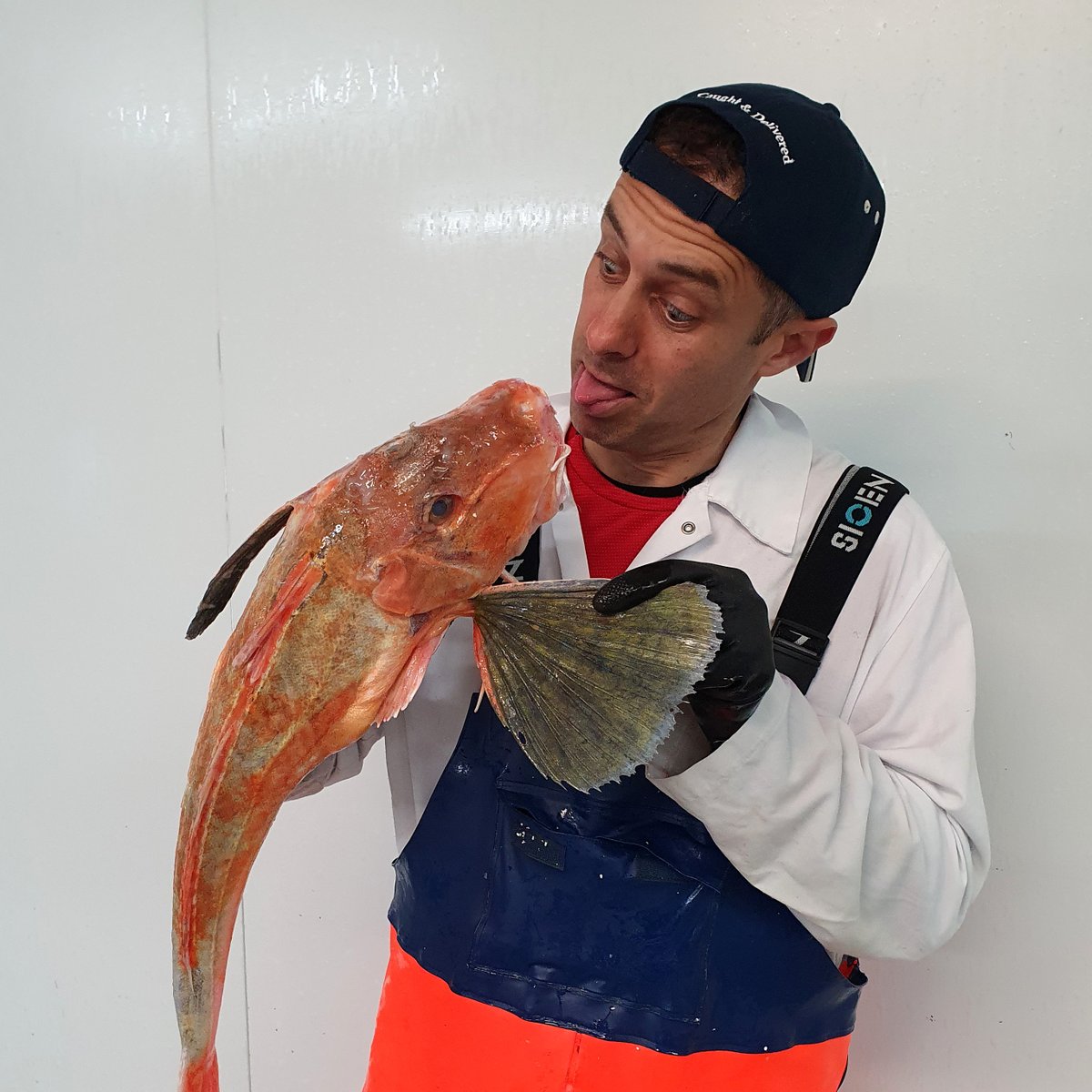 Say hello to my little fiend! – Gurnards don’t come onto the market this big often.  Normally around the 300-500g mark they are an extremely versatile fish that take strong flavours well.  A meaty texture to their flesh, they cook well, both on and off the bone.
-
01279 501051