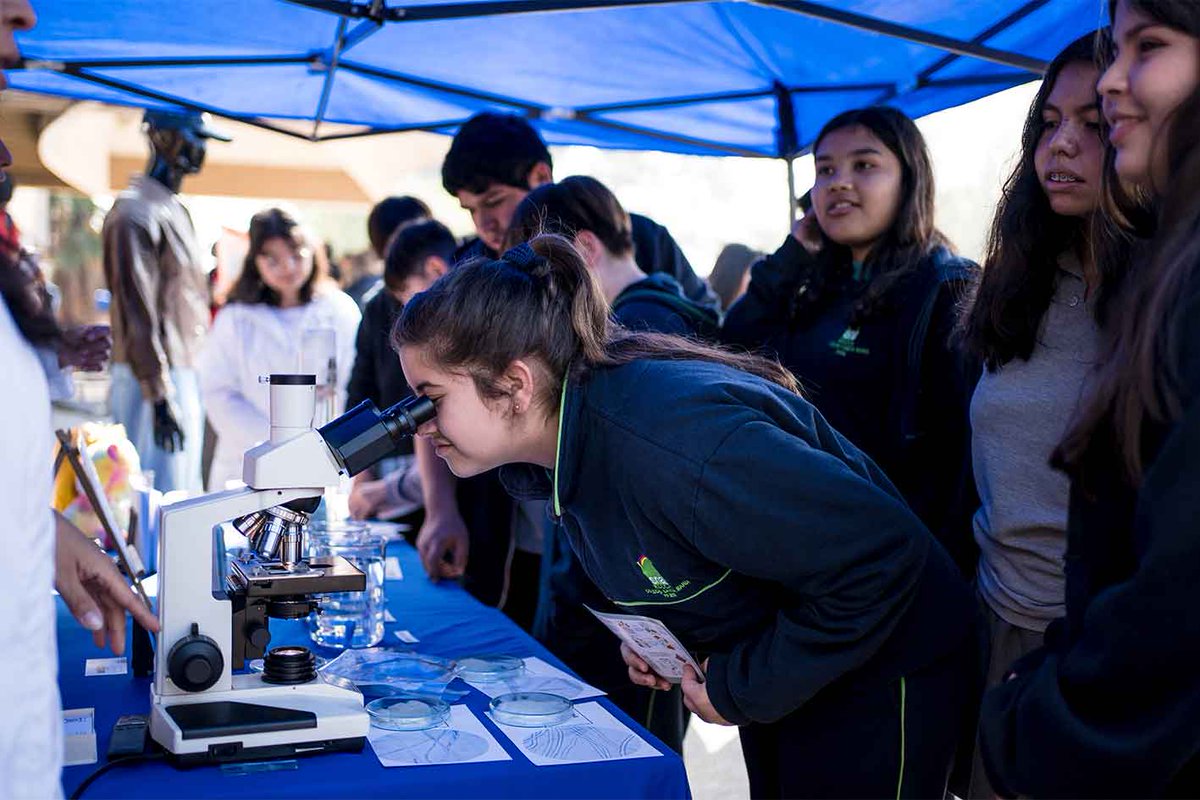 usach's tweet photo. ¡Con gran asistencia de las comunidades educativas!
🔬La @usach celebró el lanzamiento del sexto número de la Revista Cambalache junto a comunidades educativas.

➡️https://t.co/dQu0Hk3pKf https://t.co/nftq7xSzzx