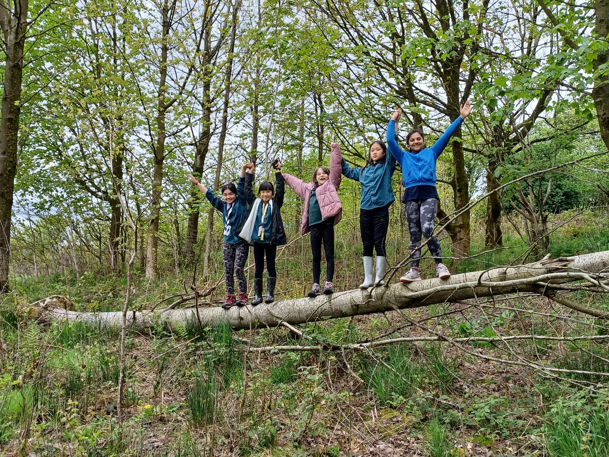 1st Chetham's Scouts tweet media