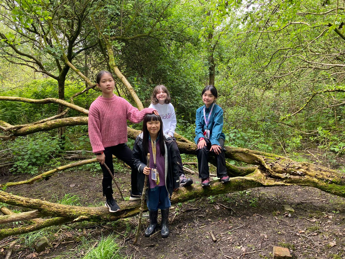 1st Chetham's Scouts tweet media