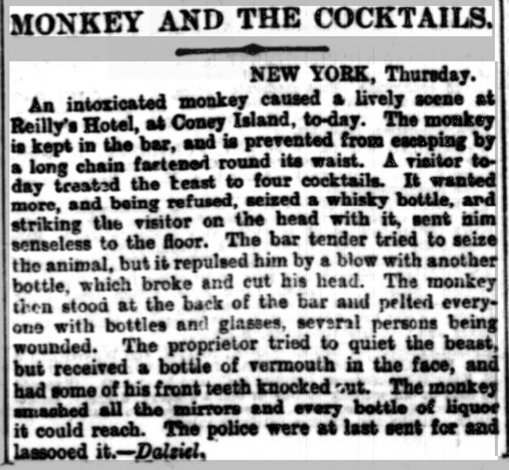 David Wondrich tweet media