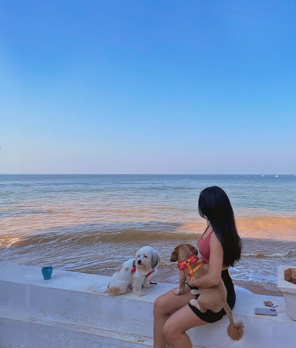 RailaSonja's tweet photo. love my self and my dog ๐ถ๐ถ ๐๐
my video ๐๐๐
https://t.co/oN5Ph3xSln
#newzealandfindsโ #newnewzealand #beautifulNZ #kiwipics #earthpixnz #newzealandtrip #nzphotography #travelnewzealand #capturenz #purenz๐ง#brother #loyaltymakesyoufamily #villainfamily #brotherfromanother https://t.co/KLim8LhSvC