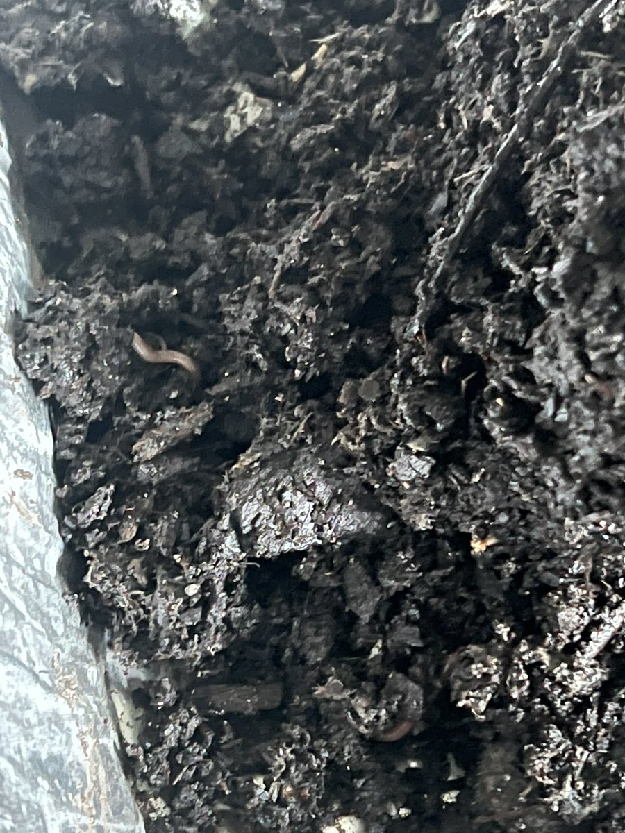 Jessica Emory tweet media