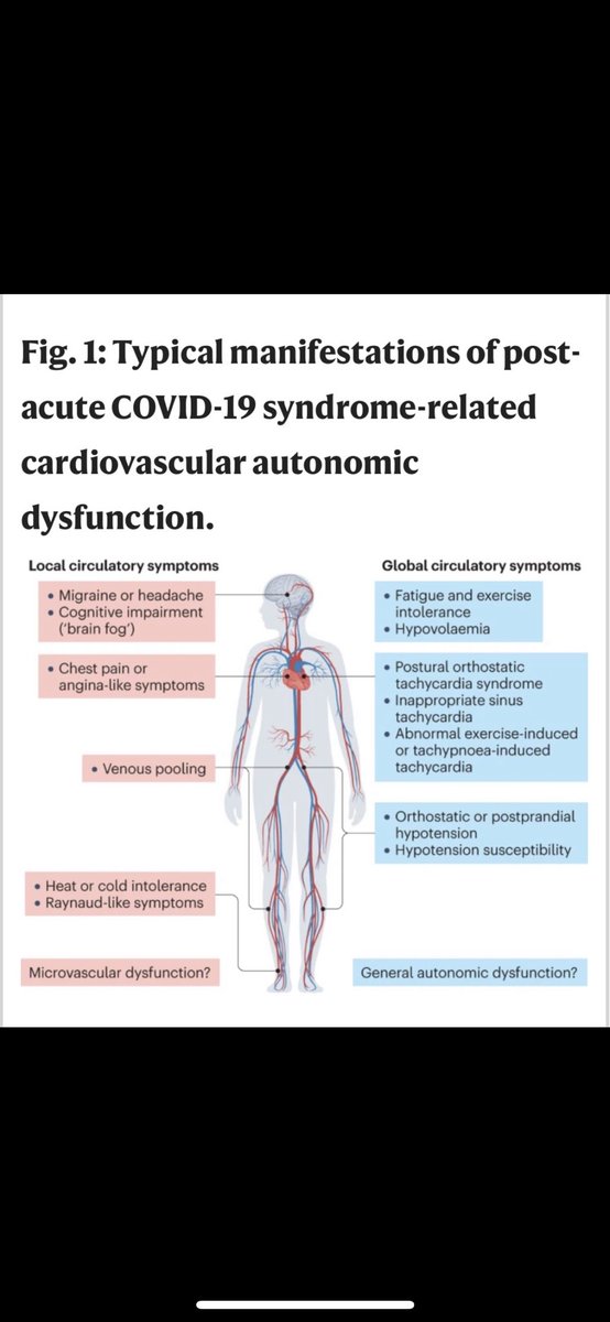 OrthopaeDenker on Twitter "‼️POTS Long Covid und pathologischer