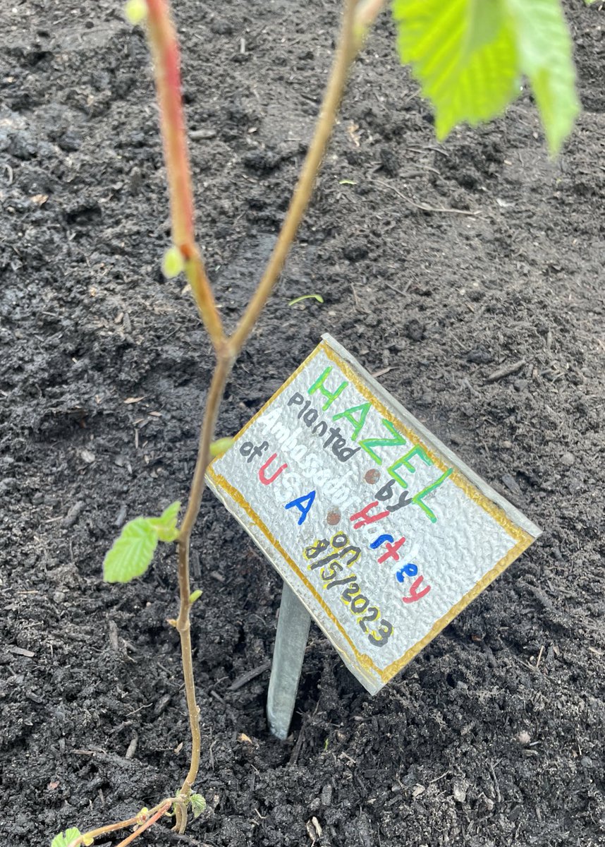 Brilliant to highlight our wonderful Wandsworth community and how much volunteering &amp; support goes on all year round 💫 @TheBigHelpOut23  
<a href="/DoddGarden/">Doddington and Rollo Community Roof Garden</a> <a href="/MarieMBESTORM/">MarieMBE_STORM</a> <a href="/BeeKemiA/">Kemi Akinola👸🏾🐝</a> <a href="/WandsworthMayor/">Wandsworth Mayor</a> #TheBigHelpOut 
#Coronation 
#community 
#volunteering 
#gardening