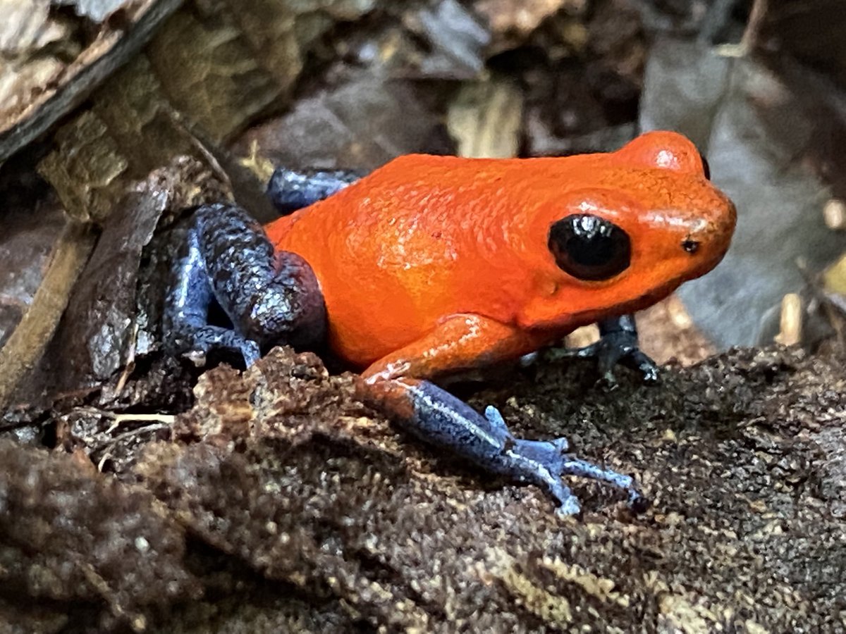 Day 6- colour #ocsbArts #ocsbPhotoChallenge