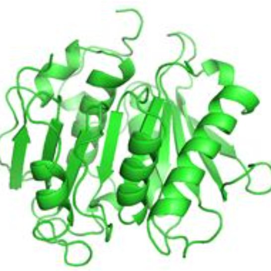CBS_Lecturer's tweet photo. Interested in undertaking a PhD in applied biochemistry? 

5 @sfi funded PhD scholarships (&amp; 1 Post Doc) currently being recruited as part of a collaborative project between @wearetudublin &amp; @DCU exploring green (bio)chemistry catalysis. 

More details: https://t.co/gfdp8IygYS https://t.co/IJ0AUgAPjW