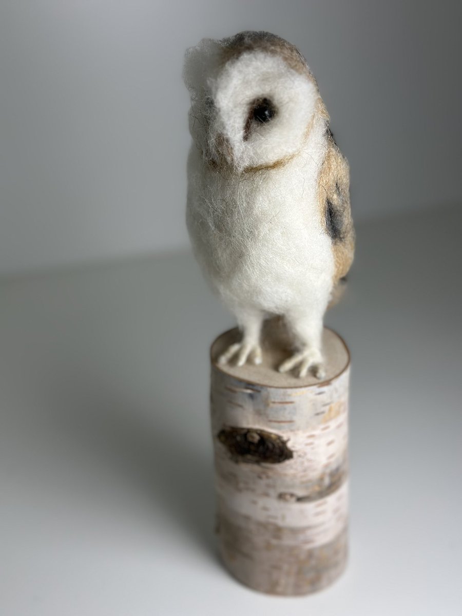 ffinlaysonart's tweet photo. A needle felted Barn Owl https://t.co/J4cSdNuhzl