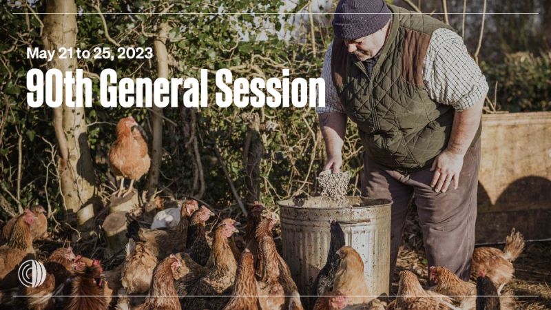 #DYK? The World Organization for Animal Health is hosting its 90th General Session, addressing critical global challenges relating to #AnimalHealth, especially the spread of #AvianInfluenza.
ow.ly/PNkG50OgQmN #MeetingoftheMinds
