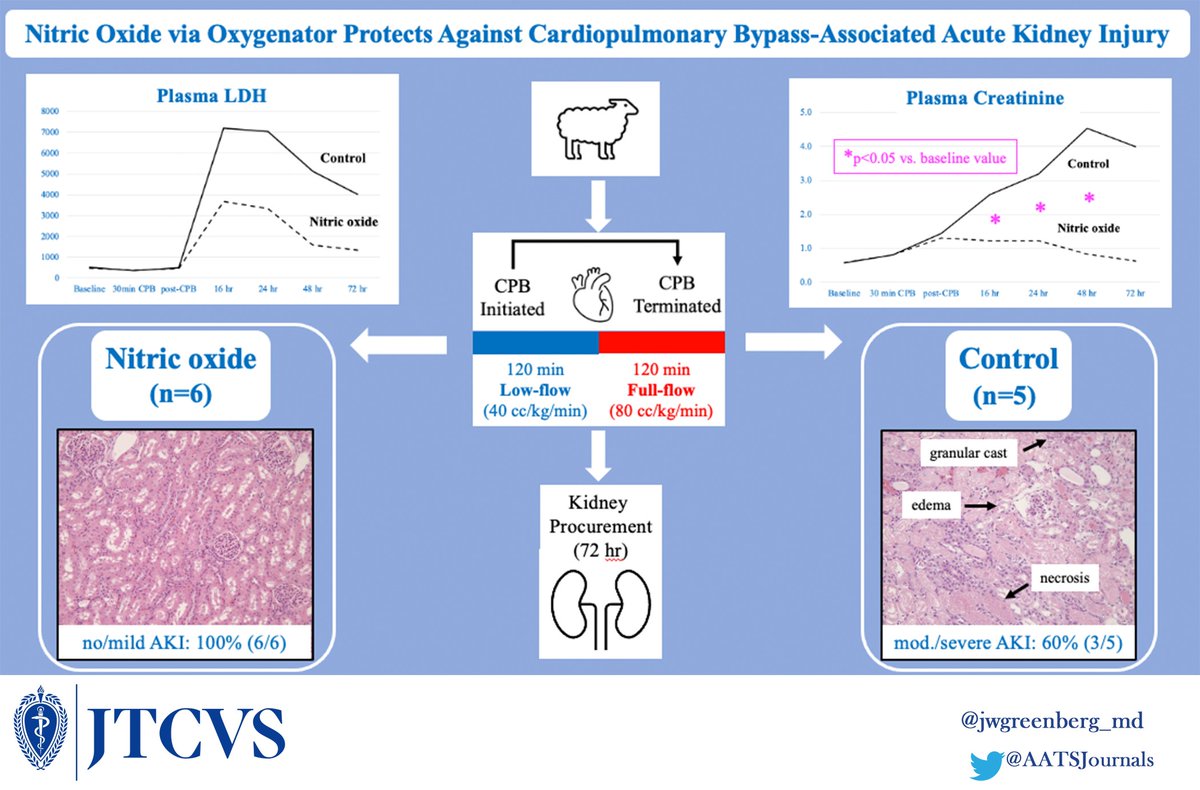 AATS Journals (@aatsjournals) on Twitter photo #AATS2023 Exogenous Nitric Oxide Delivery Protects Against CPB-Associated AKI: Histologic and Serologic Evidence from an Ovine Model. 🐑
Read the #JTCVS article by <a href="/jwgreenberg_md/">Jason W. Greenberg, MD, MS</a>, <a href="/davidscooper/">David Cooper</a>, et al: doi.org/10.1016/j.jtcv…
<a href="/AATSHQ/">AATS</a> <a href="/FZ_guru/">Farhan Zafar</a> <a href="/CincyChildrens/">Cincinnati Children's</a> <a href="/CincyKidsHeart/">Cincinnati Children's Heart Institute</a> #AATS2023 Exogenous Nitric Oxide Delivery Protects Against CPB-Associated AKI: Histologic and Serologic Evidence from an Ovine Model. 🐑
Read the #JTCVS article by <a href="/jwgreenberg_md/">Jason W. Greenberg, MD, MS</a>, <a href="/davidscooper/">David Cooper</a>, et al: doi.org/10.1016/j.jtcv…
<a href="/AATSHQ/">AATS</a> <a href="/FZ_guru/">Farhan Zafar</a> <a href="/CincyChildrens/">Cincinnati Children's</a> <a href="/CincyKidsHeart/">Cincinnati Children's Heart Institute</a>