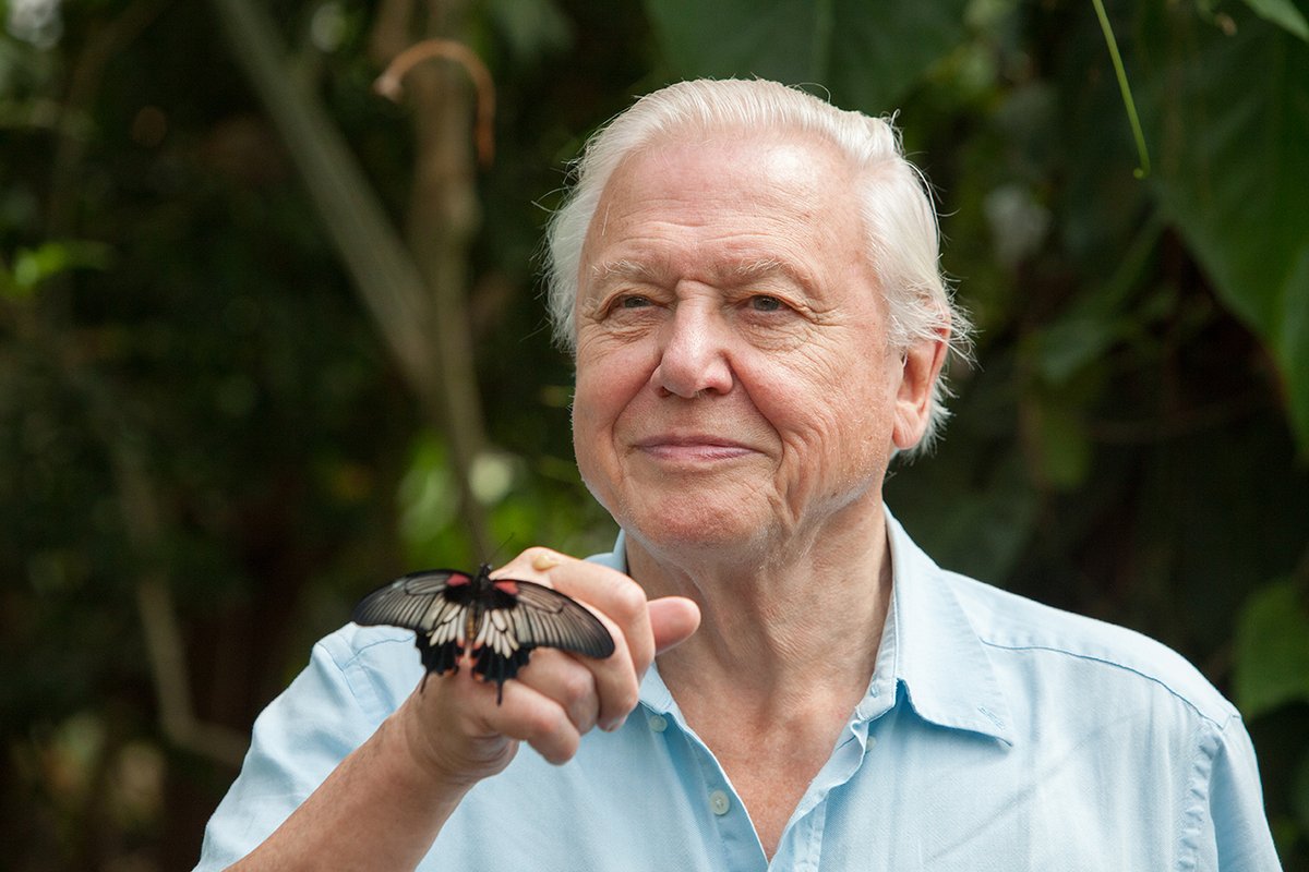 Happy 97th Birthday to Sir David Attenborough. Always an inspiration and regular feature in the Biology and Environmental Science classes!