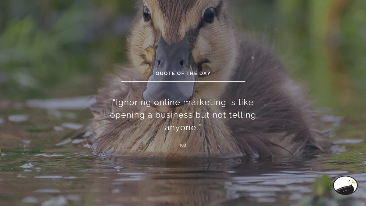 Online marketing is a quintessential part of the business world today. 
Don't ignore it, embrace it.

oddduckmedia.com
#oddduckmedia #oddduck #beanoddduck #sabusiness #onlinebusiness #digitalmarketing