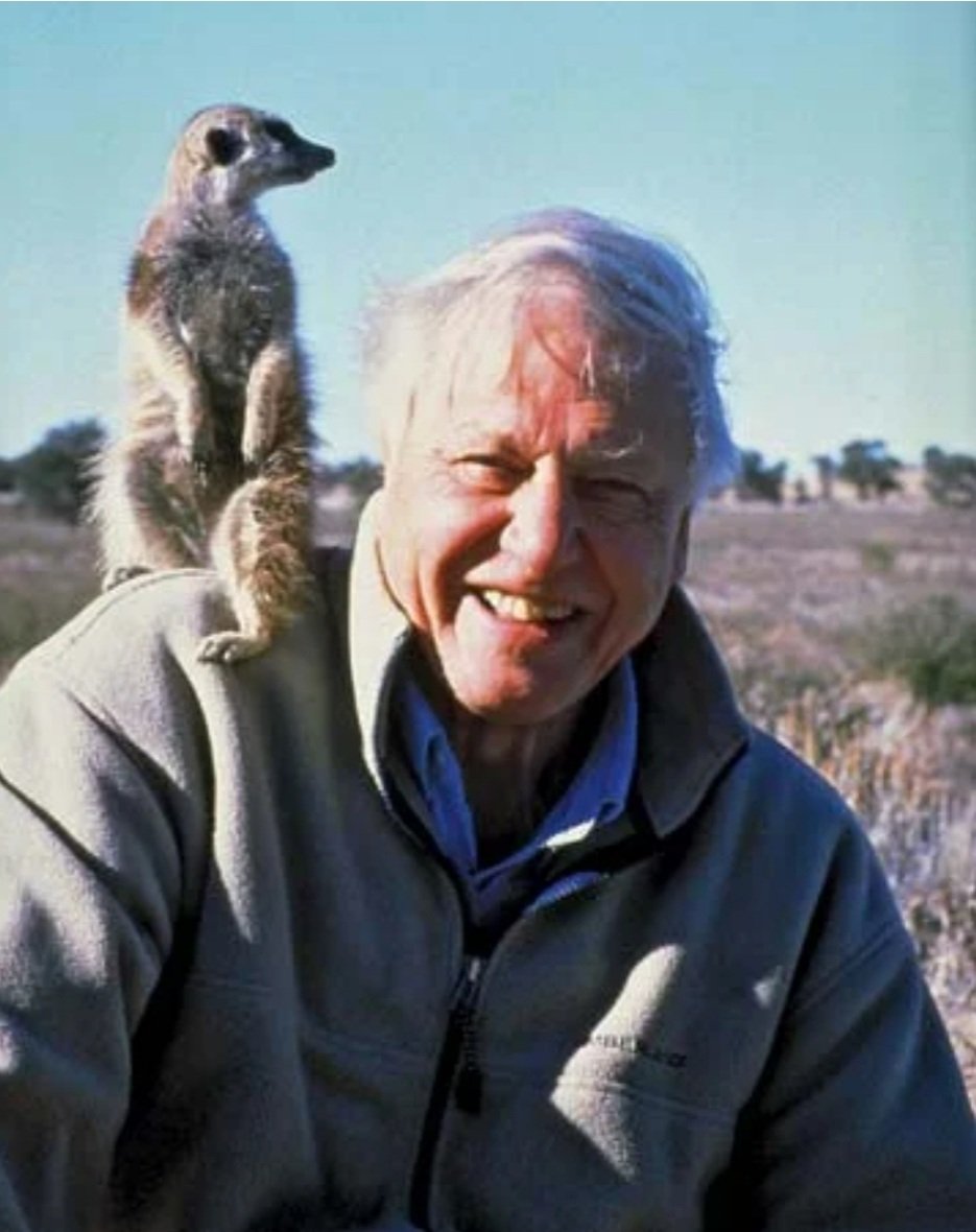 A very happy 97th birthday to broadcaster, biologist, natural historan and a truly inspirational person, #SirDavidAttenborough