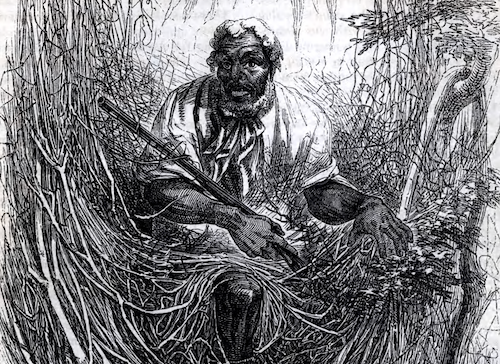 The Great Dismal Swamp was a site of both labor and refuge for enslaved people in 19th-c. NC. Learn more in <a href="/nottaHistorian/">Katie Hatton</a>'s jsdp.enslaved.org/fullDataArticl… (JSDP v.4, no. 2)