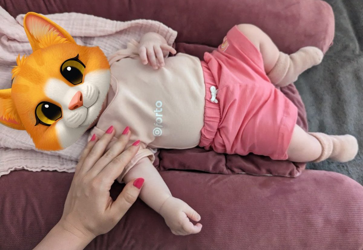 HakusBug's tweet photo. #girlsgirlsgirls #teampink #forto #saltandpepper #babygirl https://t.co/NelX4rqkF3