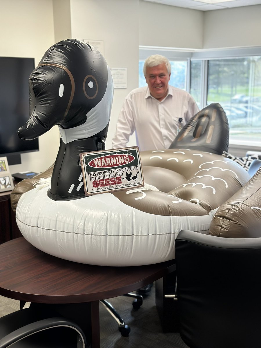 Walked into my office this morning to find this.  Pranksters enjoying my recent close call with a goose protecting her eggs outside the staff entrance.