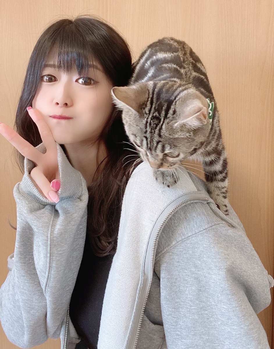 小森千沙 tweet media