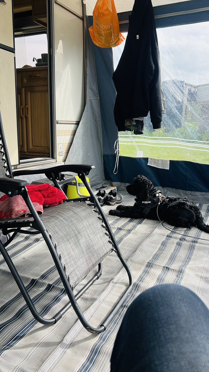 Paul_Stafford's tweet photo. Itβs been awesome letting our little man have fun with his mum and sister this weekend on the beach! β₯οΈβοΈποΈπβπ¦Ί #spaniel #spaniellife #spanielsofinstagram #showspaniel https://t.co/DLqoeGepNX