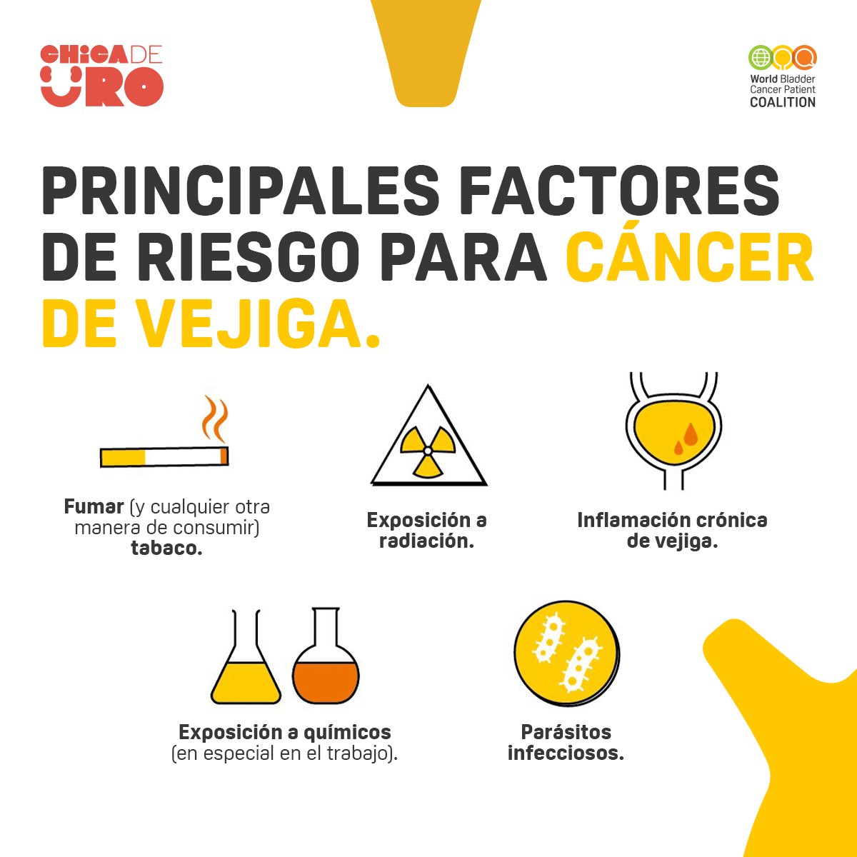 ⚠️Principales Factores de riesgo para el #CancerDeVejiga ⬇️
📌Tabaquismo
📌Exposición a Radiación☢️
📌Inflamación Crónica de la Vejiga
📌Exposición laboral a sustancias químicas🧪🧑🏽‍🏭
📌Infecciones parasitarias🦠 

☑️Es 5 veces➕frecuente en hombres🧔🏻‍♂️que en mujeres👩🏽 #UroSoMe