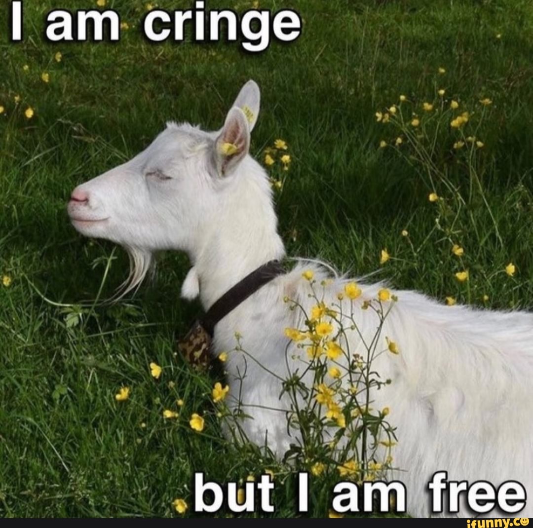 GeorgeSims5572's tweet image. Yes.