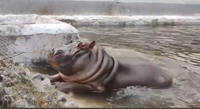 therealbuni's tweet image. Se portó mal y fue castigada